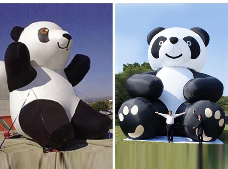 安龙充气熊猫展示